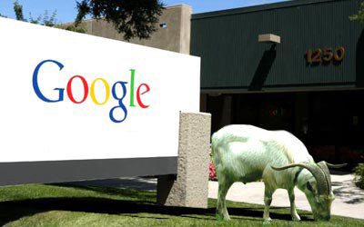 goats_google